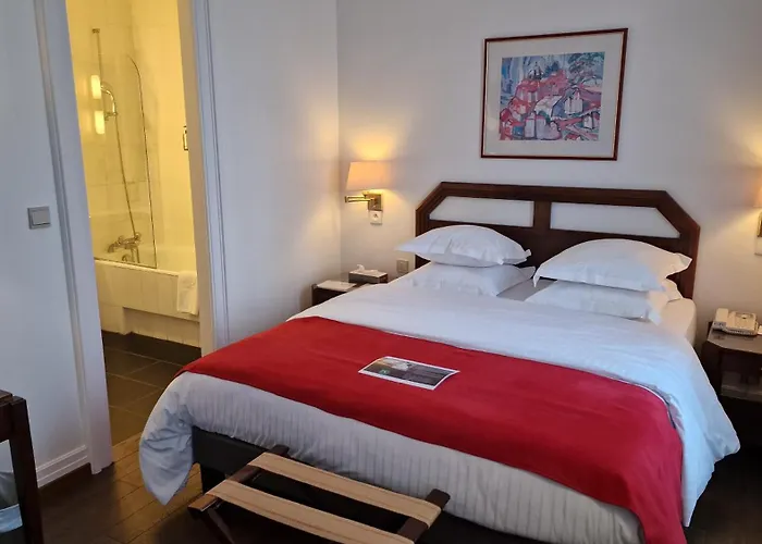 Hotel Du Parc - Mulhouse Centre